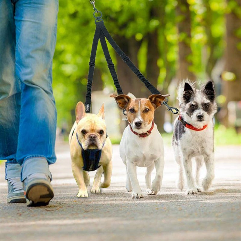 Kuntrona Nylon Dog Leash Coupler 3 Way No-Pull Pet Dog Lead Leashes No Tangle Bungee Three Dogs Leads Black L - Image 4